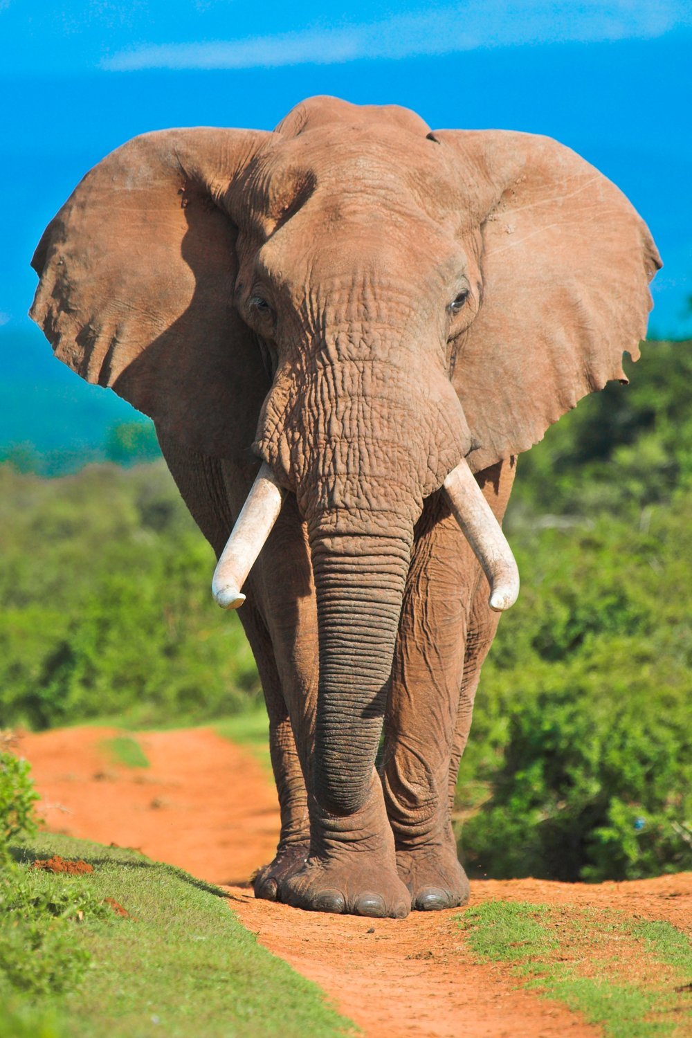 Sudafrica 5 mete da visitare nel 2019