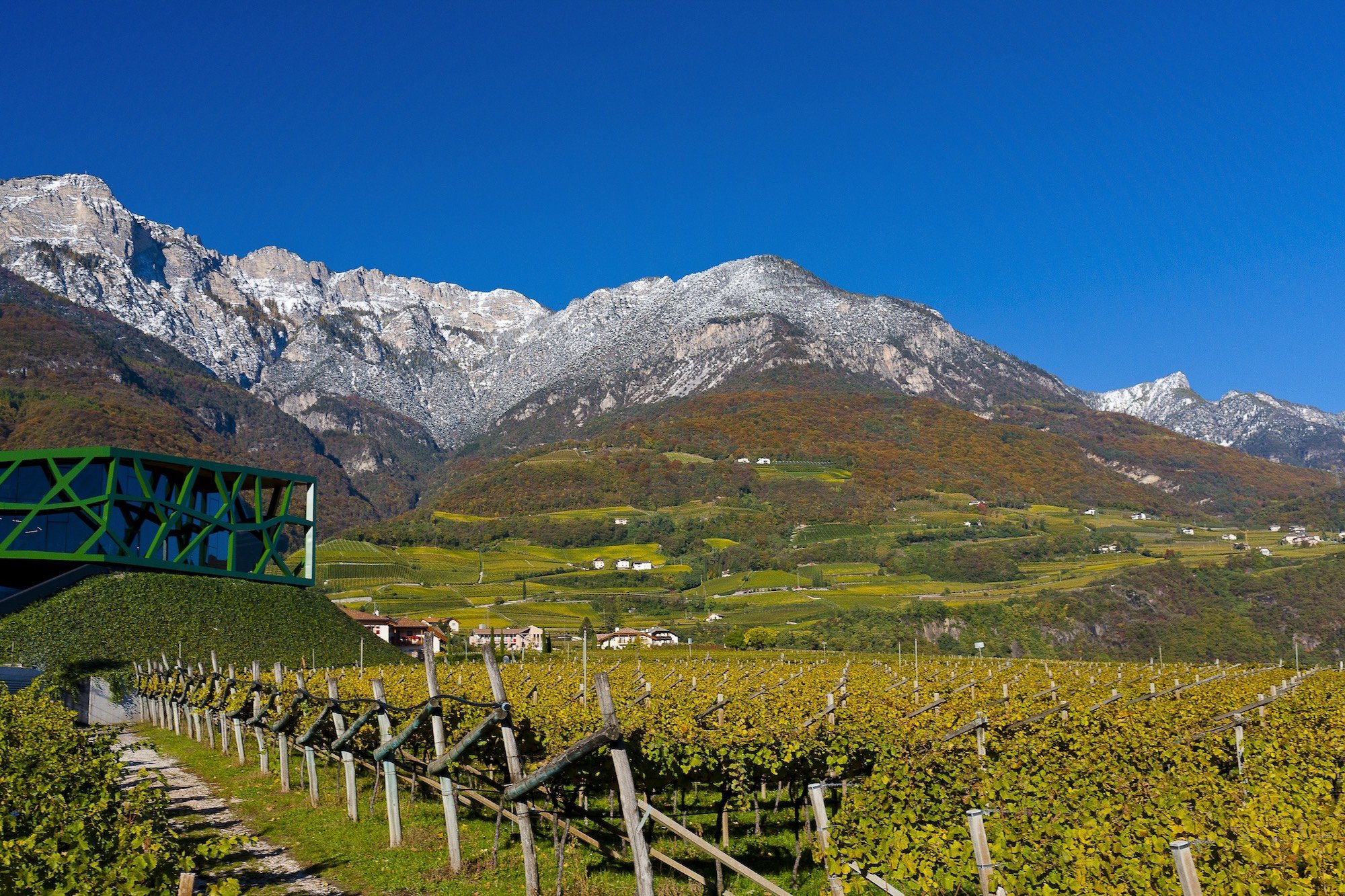 Cantina Tramin