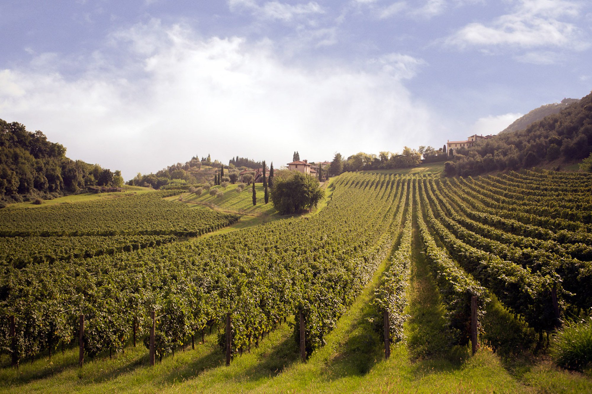 Cantine della DOC Breganze