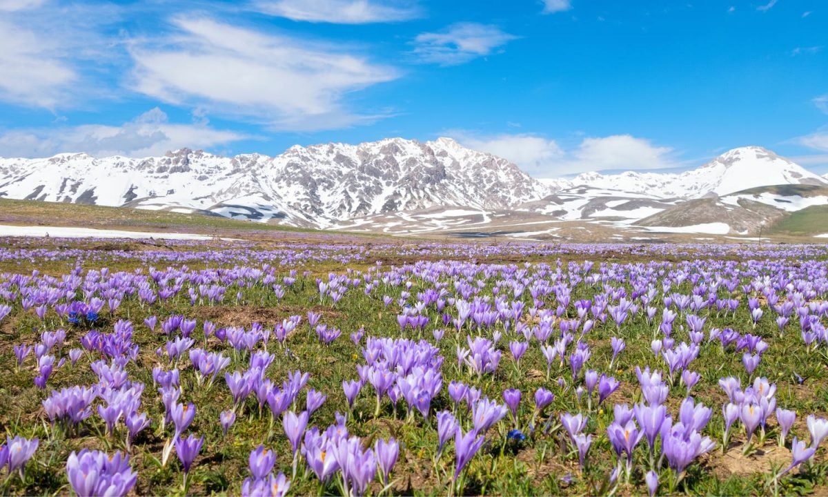 Campo imperatore