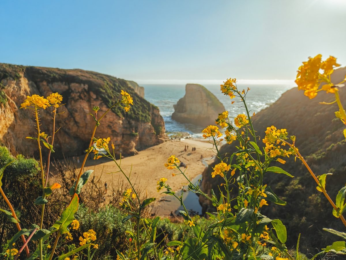 OnePlus 11 Portrait Mode - Shark Fin Cove, California