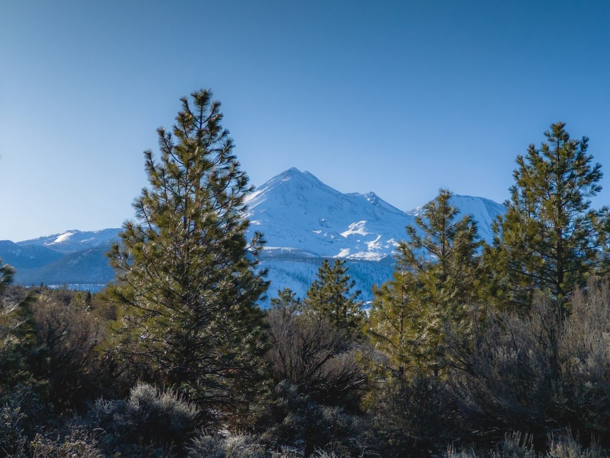 OnePlus 11 RAW Plus - Mount Shasta