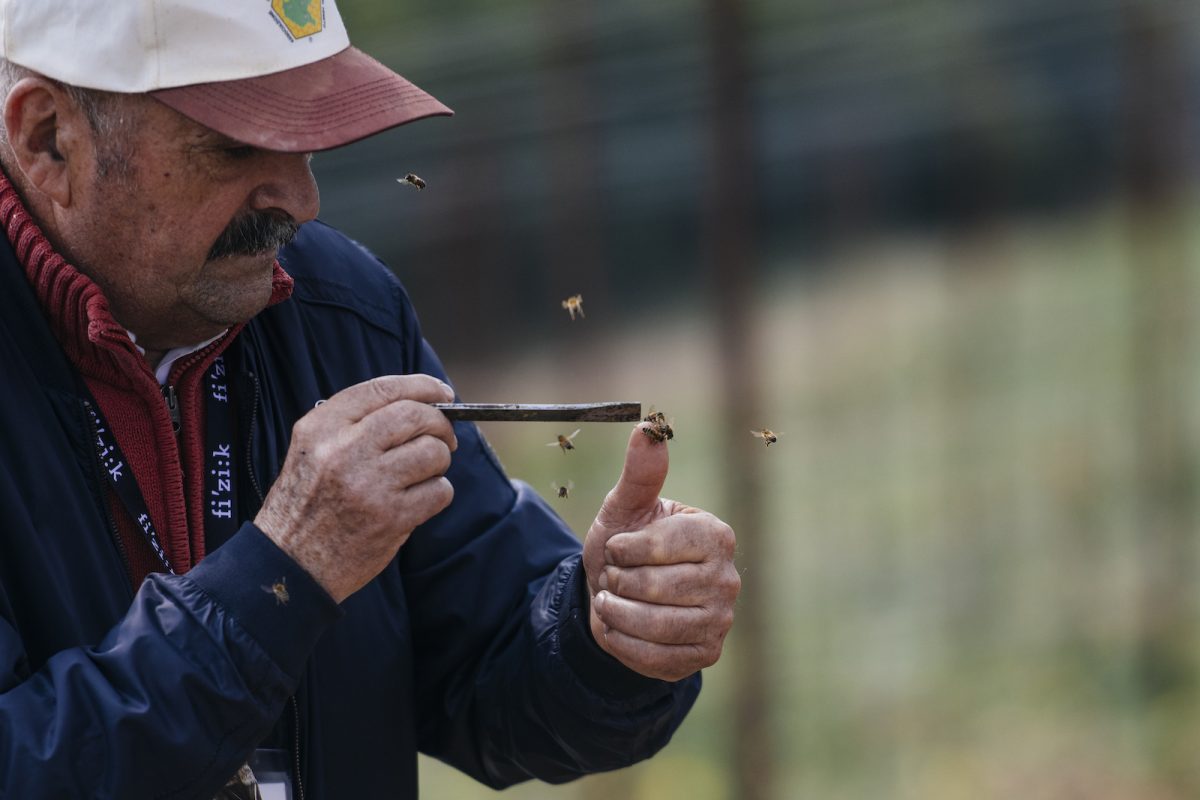 Progetto bosco responsabile