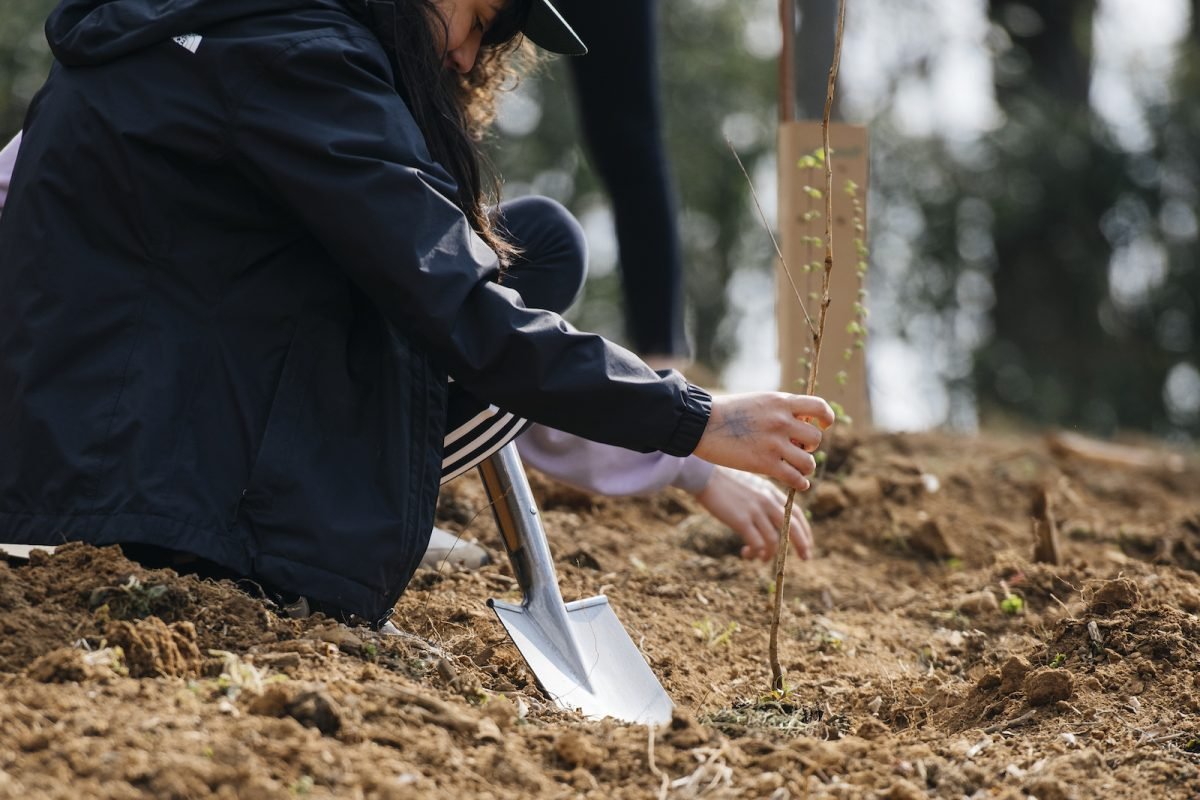 Progetto bosco responsabile