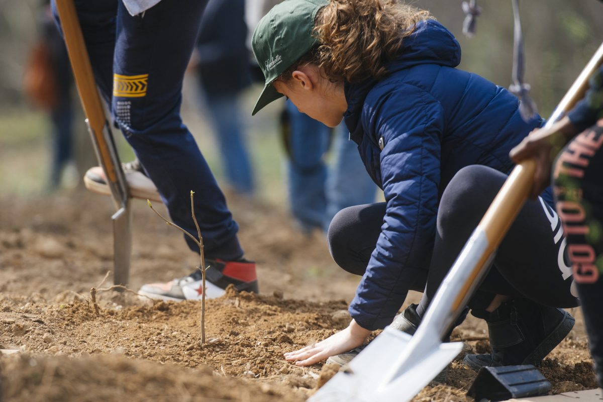 Progetto bosco responsabile