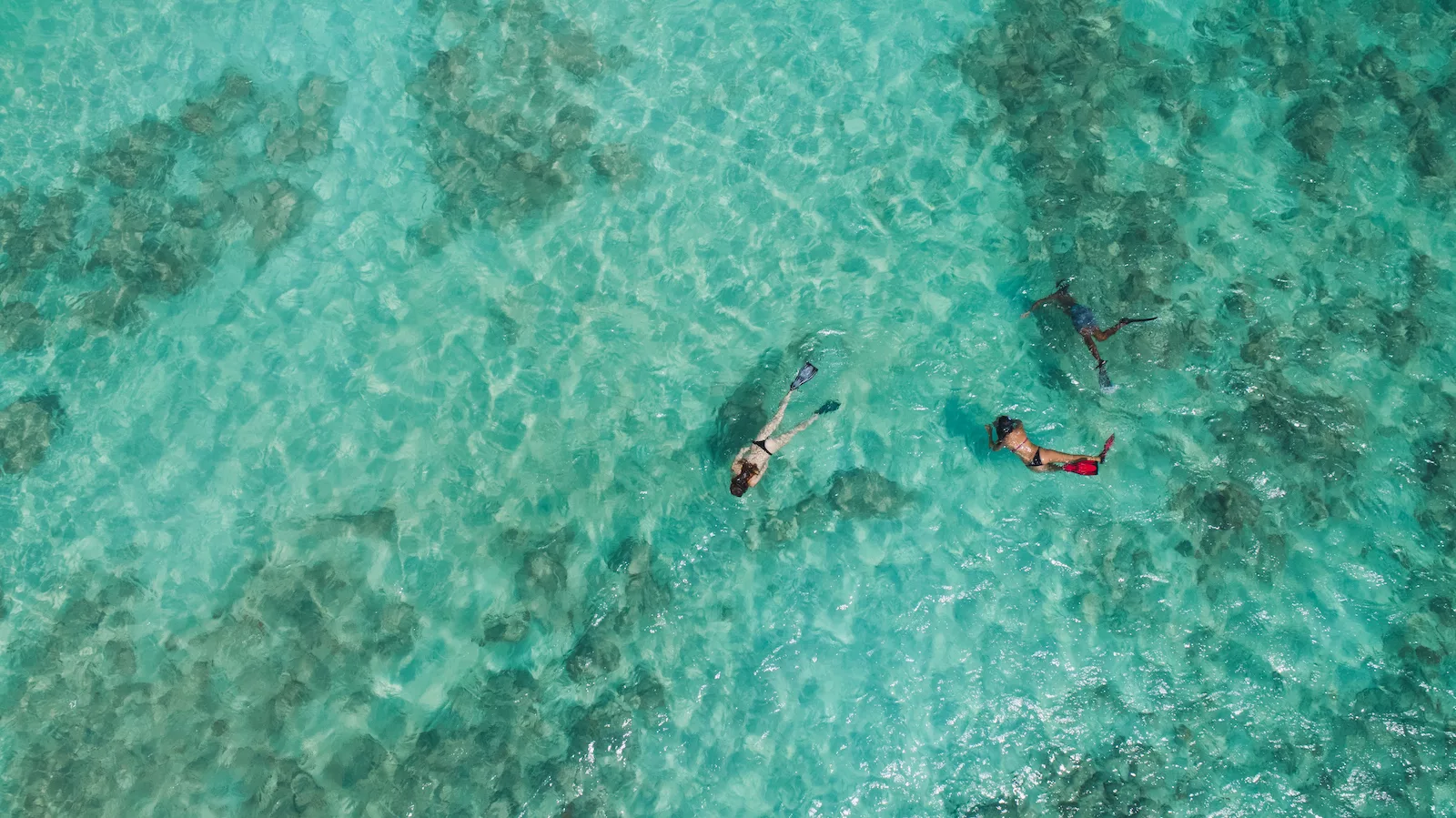 Aruba Snorkeling