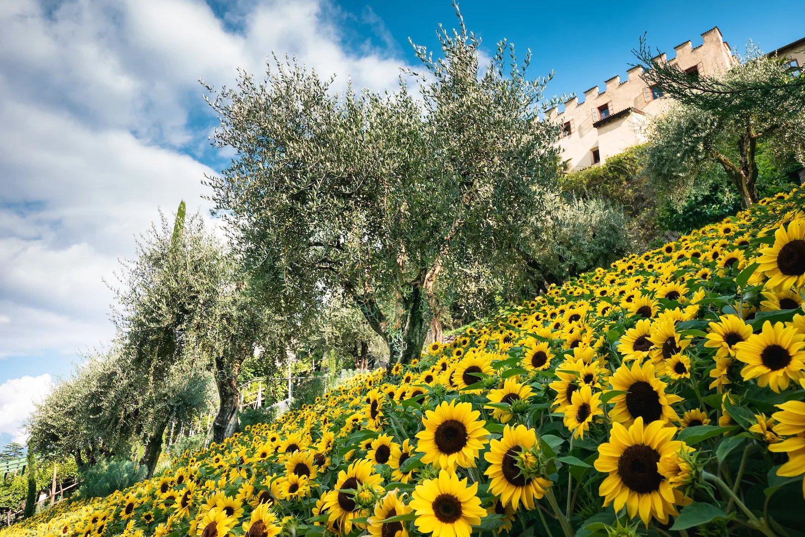 Giardini di Castel Trauttmansdorff