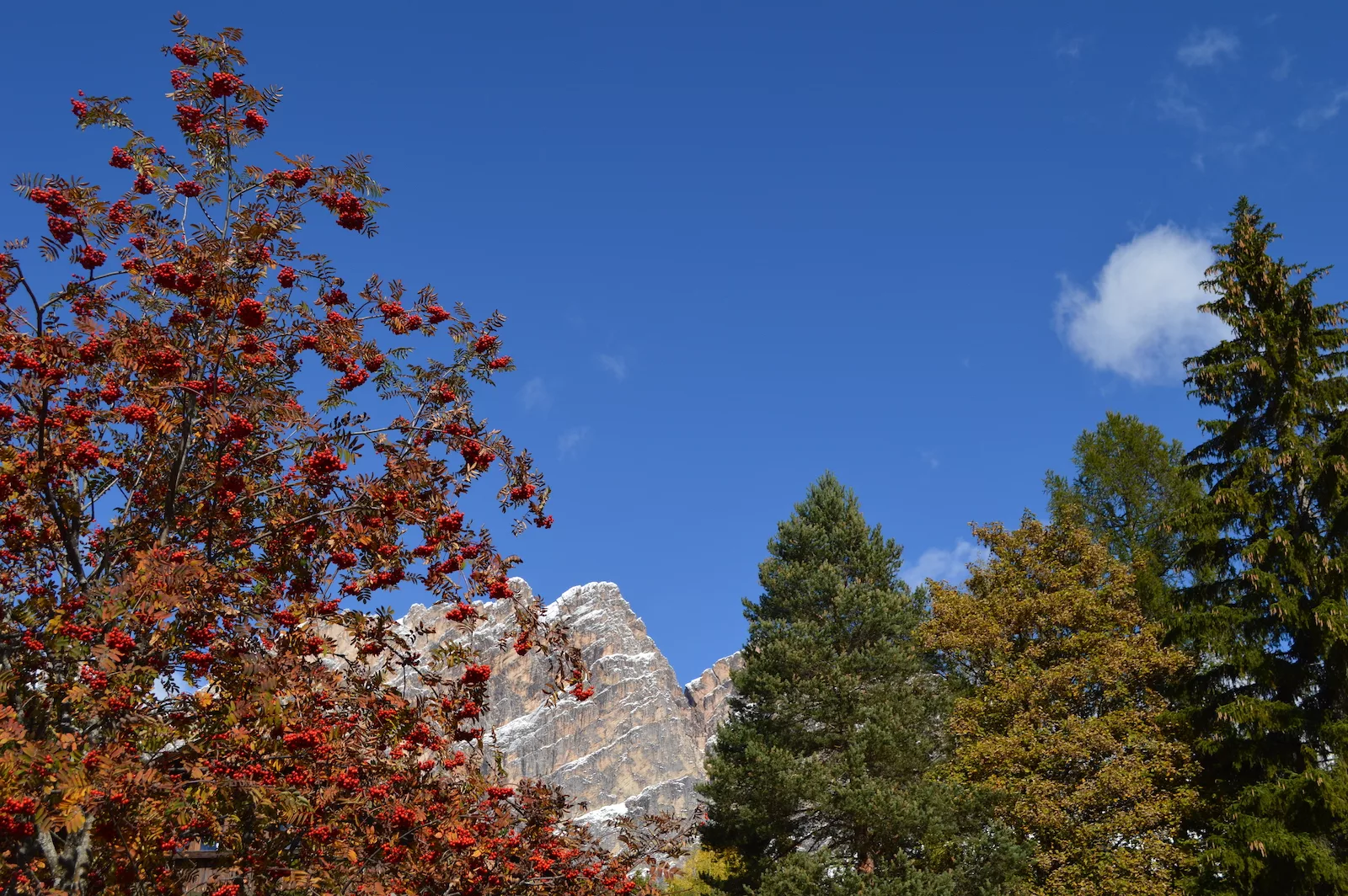 Cortina d’Ampezzo