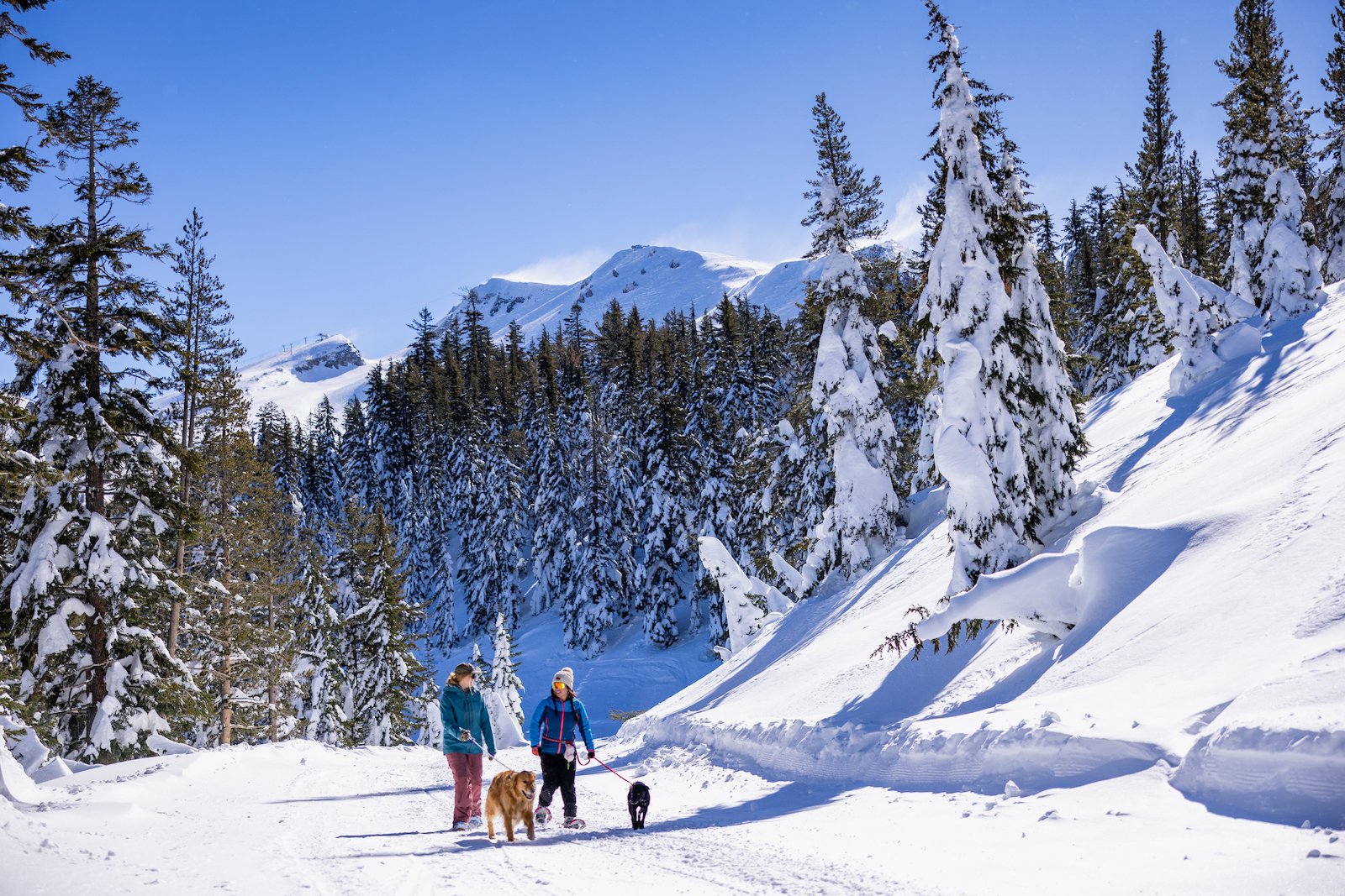 Mammoth Lakes