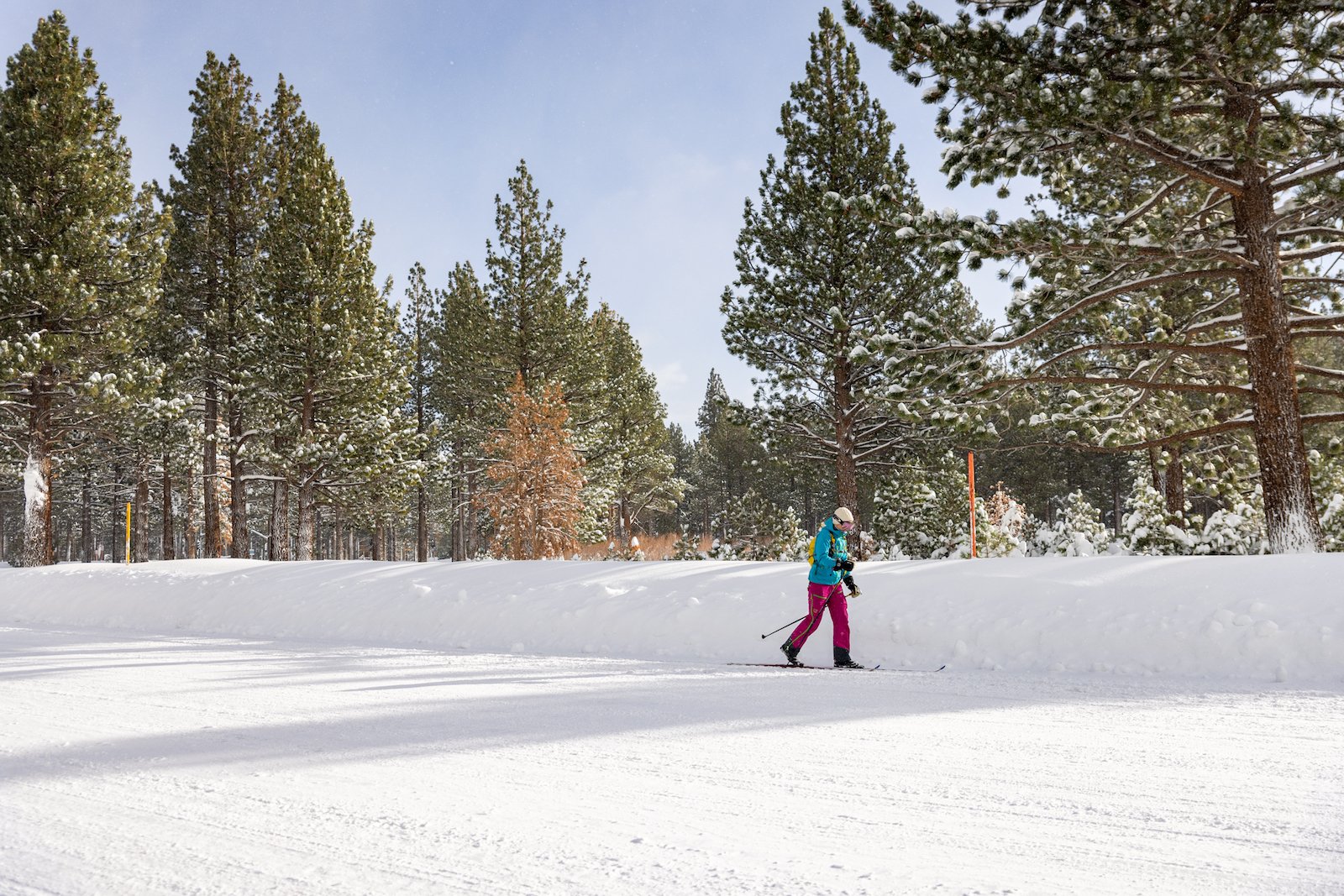 Mammoth Lakes