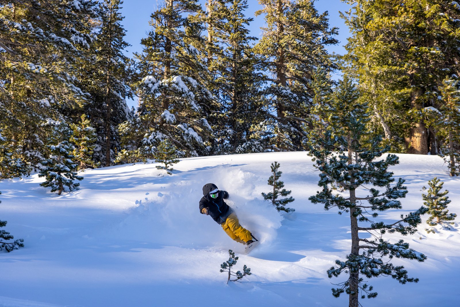 Mammoth Lakes