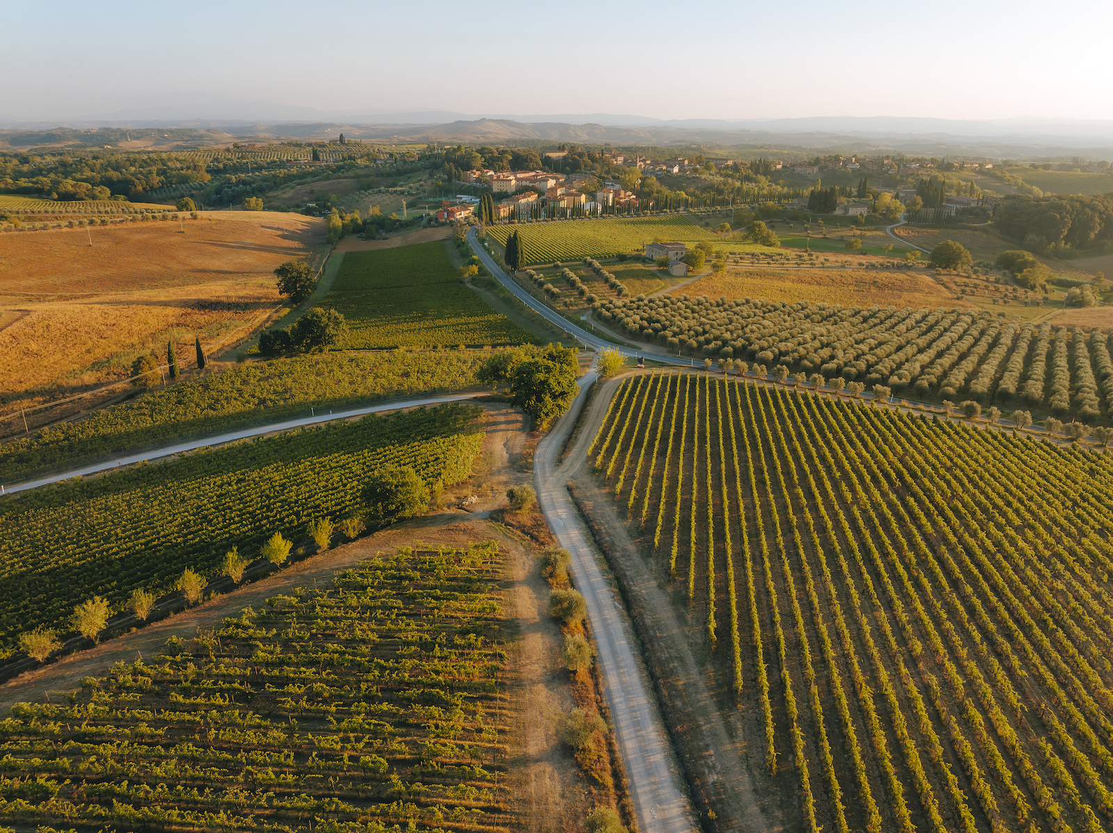 Felsina Chianti Classico