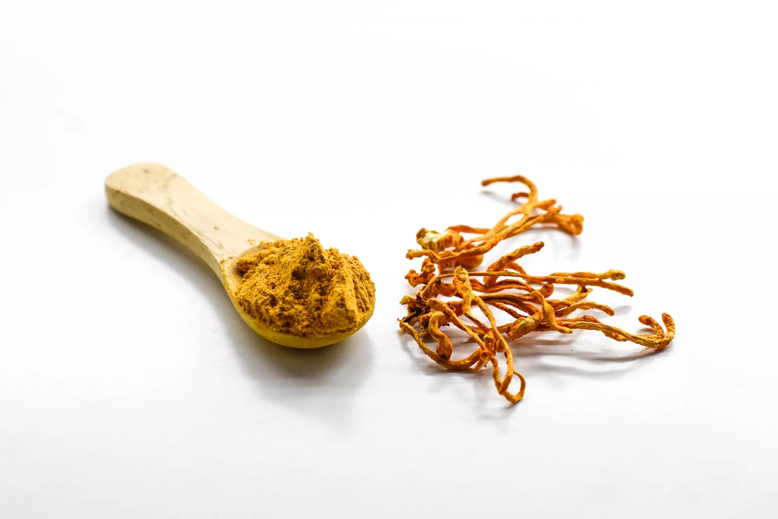 Polvere di Cordyceps