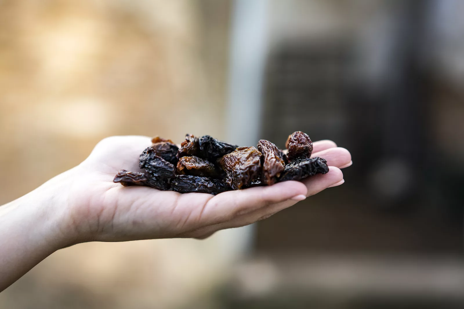 Slow Food Calabria