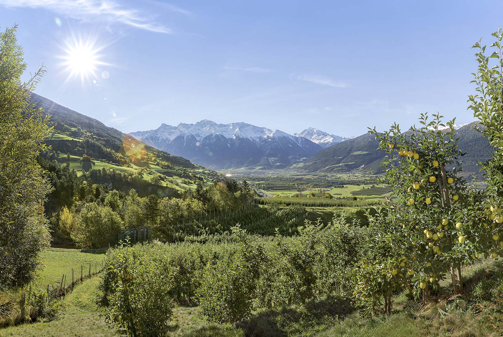 Val Venosta Panorama