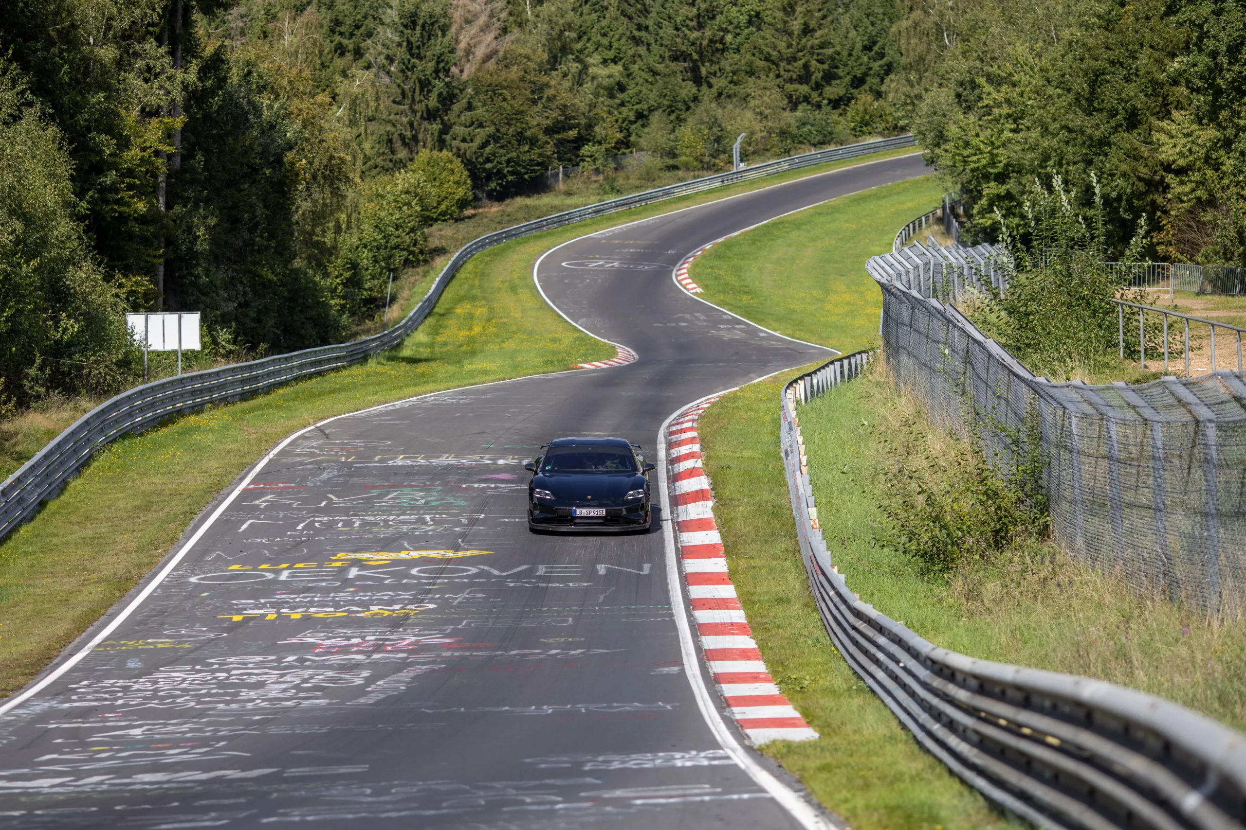 Porsche Taycan Nurburgring