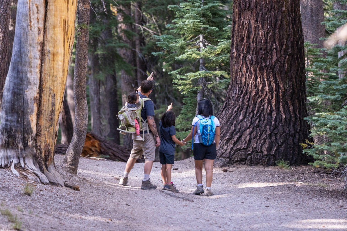 Vacanze Mammoth Lakes 2025: natura, sport ed eventi 5 Mammoth Lakes primavera