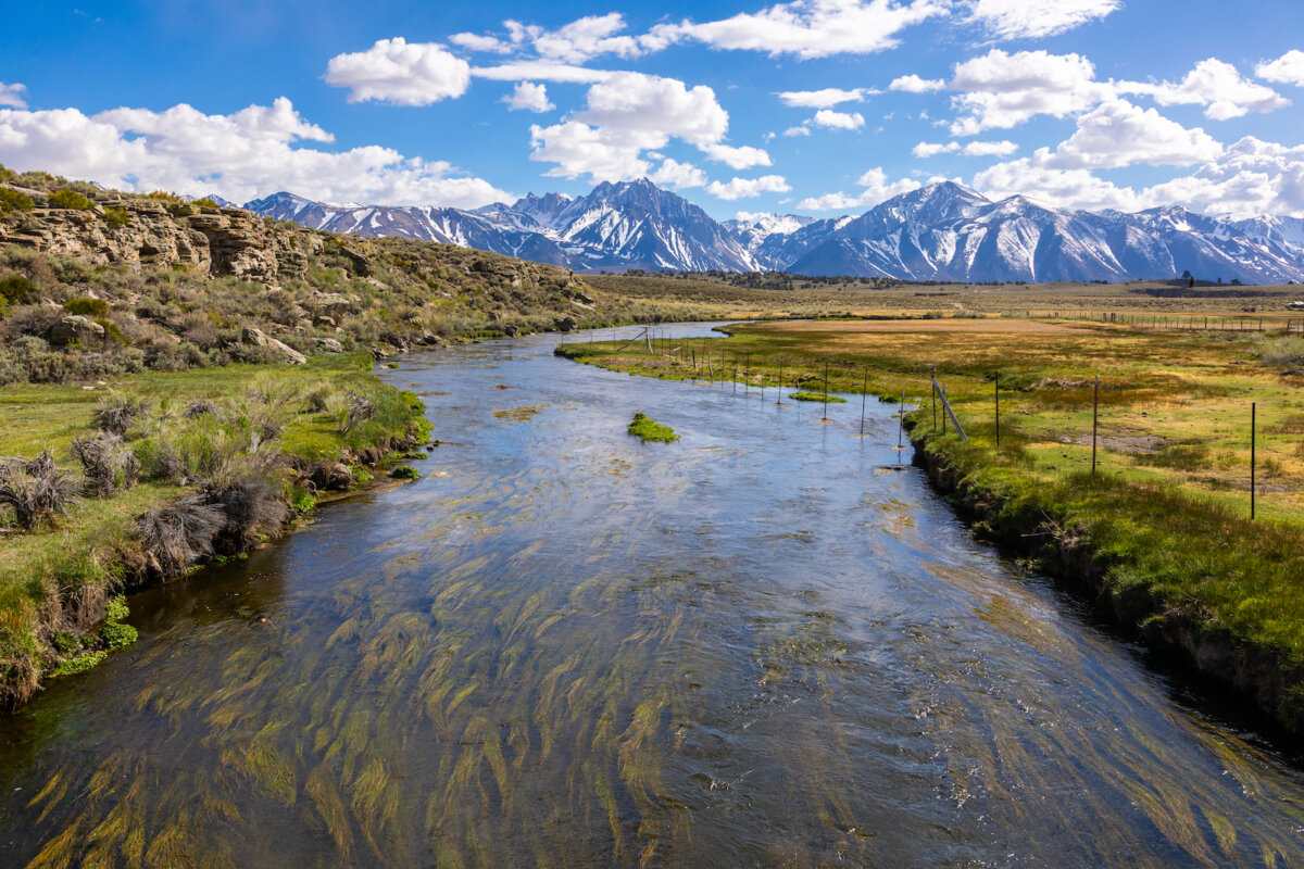 Vacanze Mammoth Lakes 2025: natura, sport ed eventi 2 Mammoth Lakes primavera