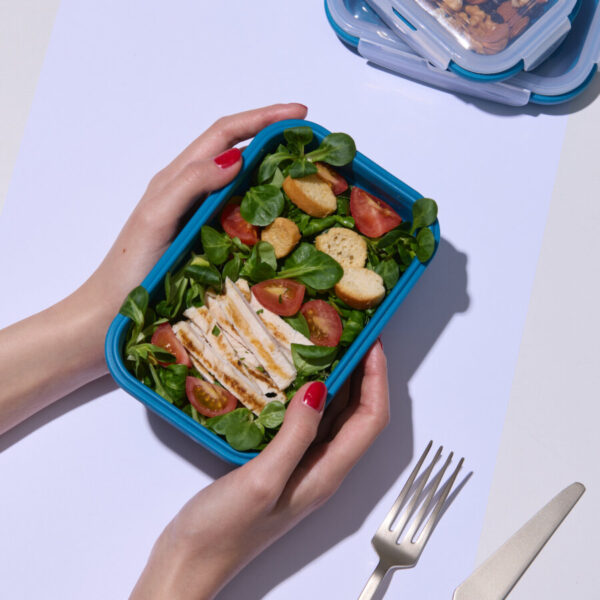 lunchbox picnic