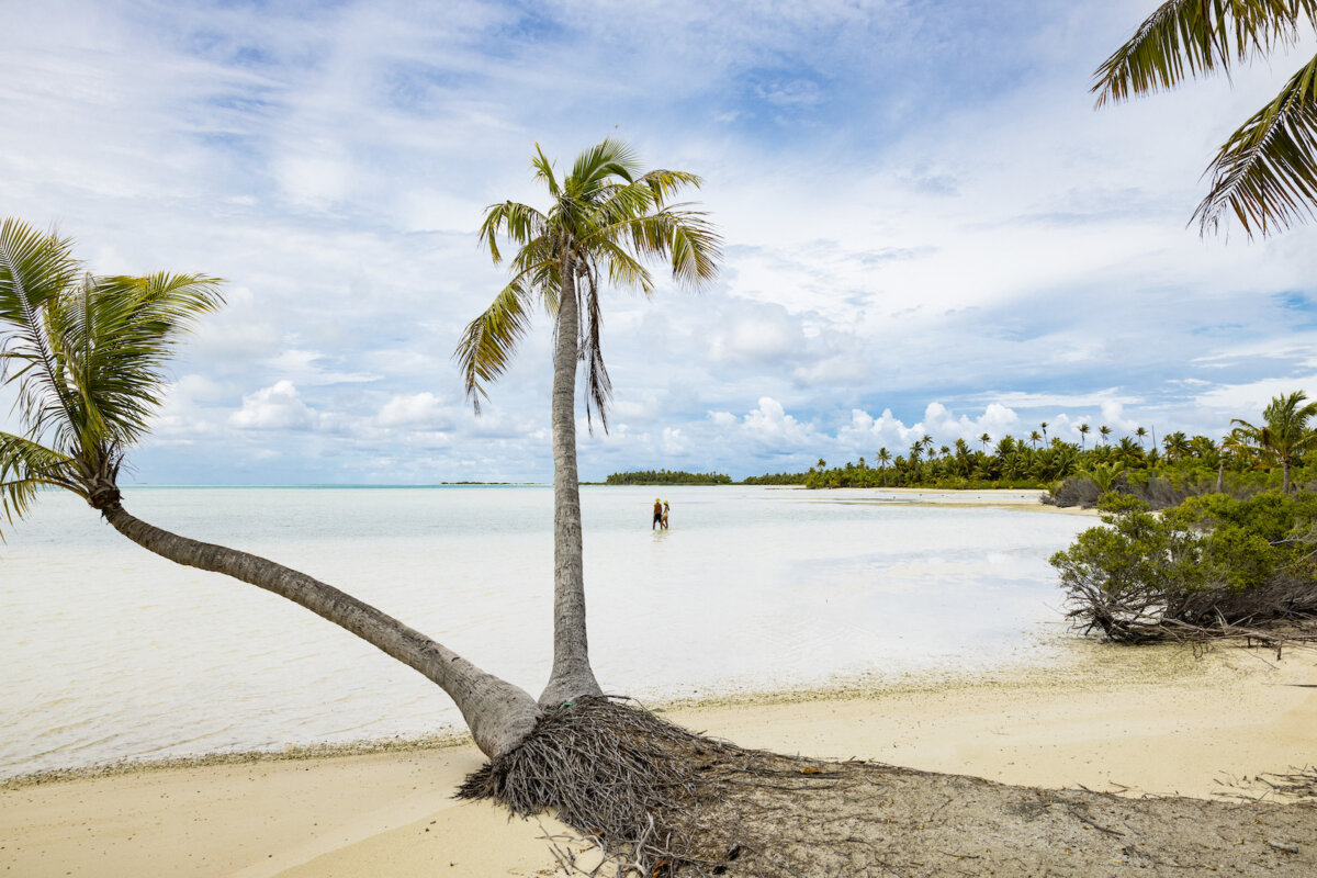Vacanza a Tahiti 2025: la spiaggia PK9 di Fakarava 7 vacanza Tahiti spiaggia