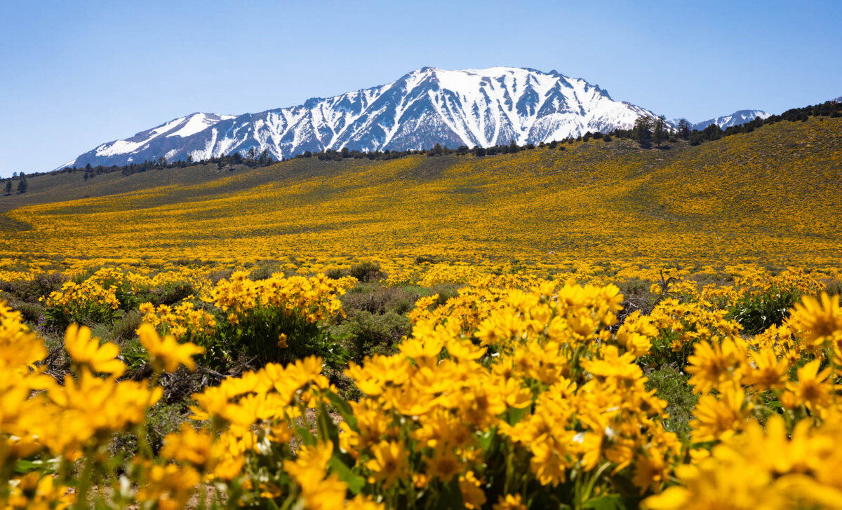 Mammoth Lakes California