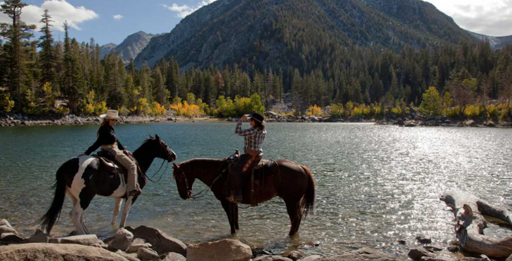 Cavallo west Mammoth Lakes California