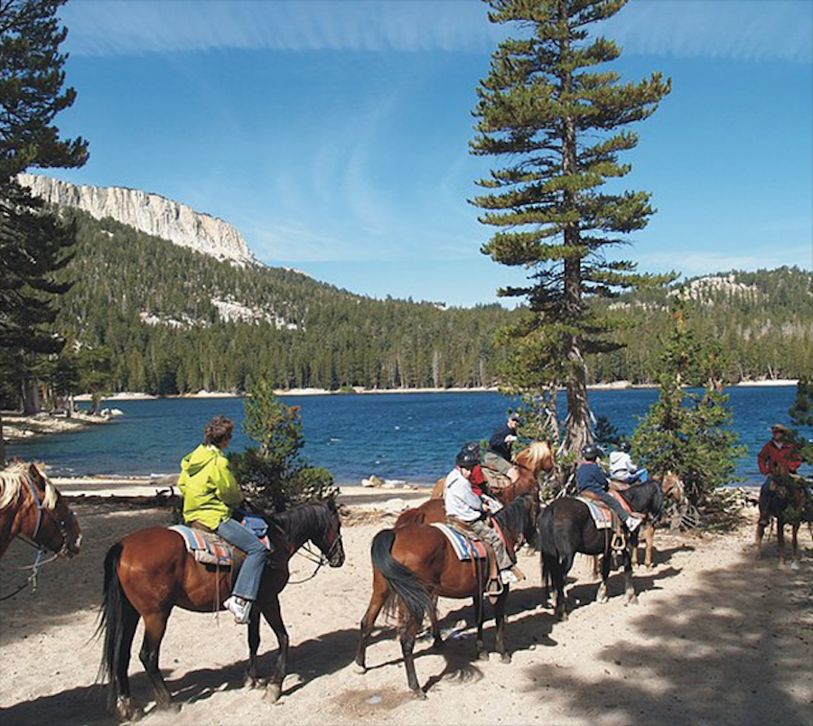 Cavallo west Mammoth Lakes California