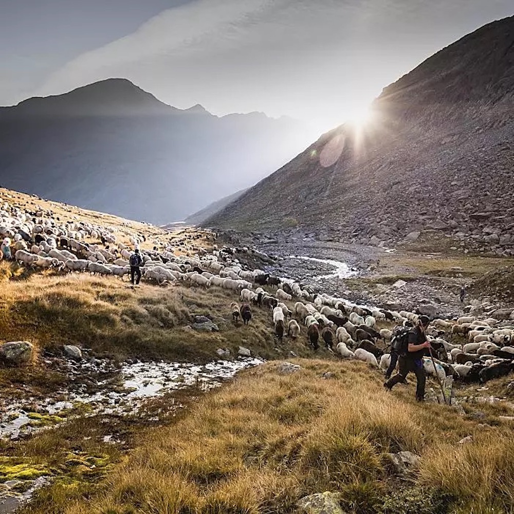 Trekking e sentieri sulle Alpi da scoprire: Alpin Arena Val Senales 4 Val Senales