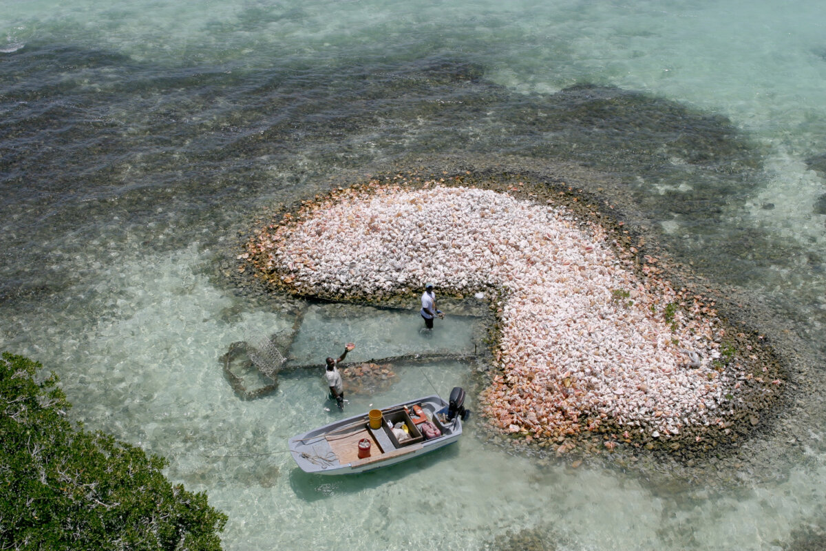 Vacanze ai Caraibi: le Isole Vergini Britanniche tra slow travel e lusso 9 Isole Vergini Britanniche