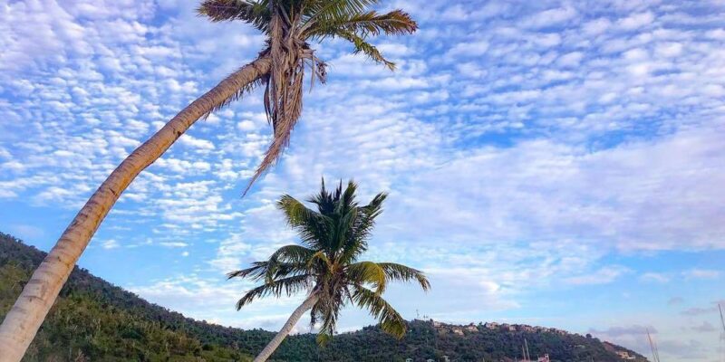 Vacanze ai Caraibi: le Isole Vergini Britanniche tra slow travel e lusso 1 Isole Vergini Britanniche
