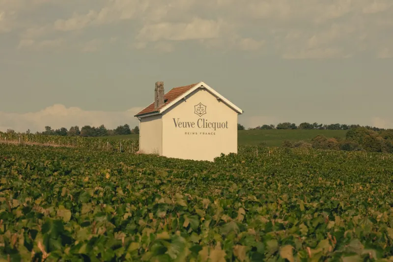 Vigneti Veuve Clicquot