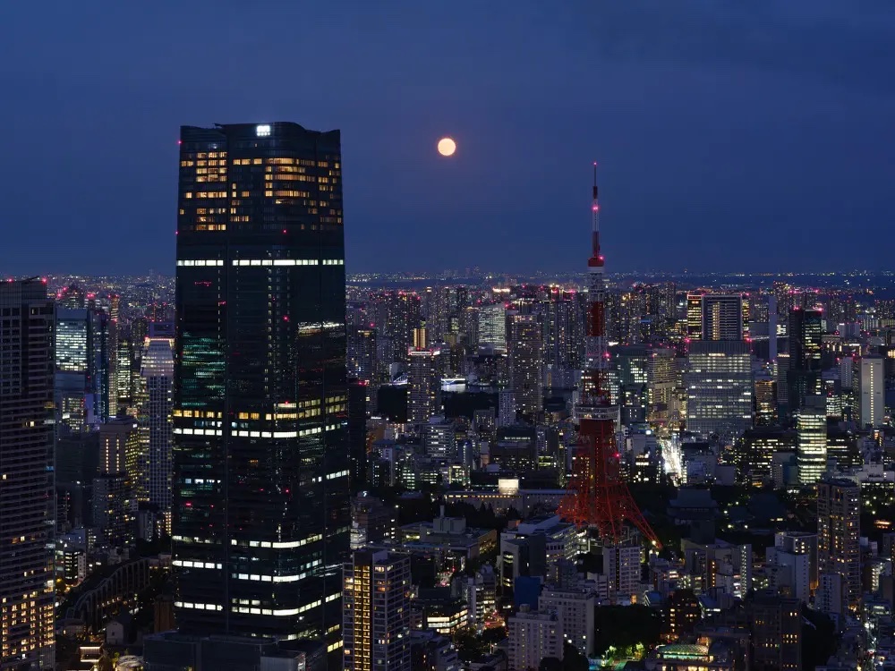 Harvest Moon Tokyo panorama