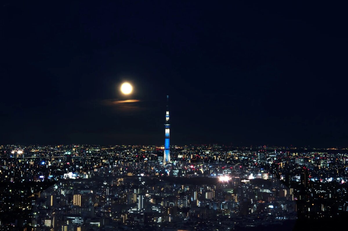Harvest Moon Tokyo Luna d'autunno