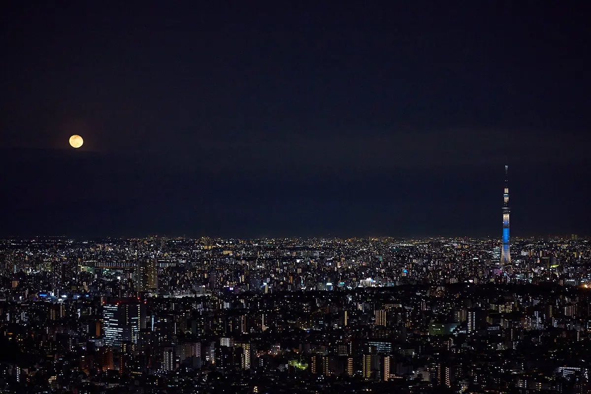 Harvest Moon Tokyo panorama
